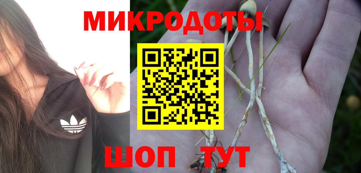 Галлюциногенные грибы GOLDEN TEACHER  даркнет сайт  Звенигород  Псилоцибиновые грибы MAGIC MUSHROOMS  Вход с VPN 