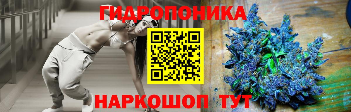 Бошки Шишки план  Вход с VPN  Звенигород  Шишки марихуана конопля  Конопля тримм 
